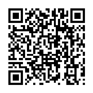 Link to your fundraiser QRCode - Fundraising