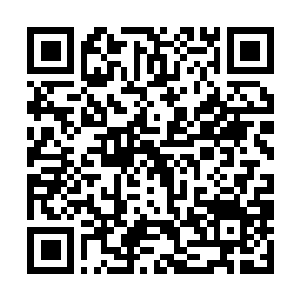 Link to your fundraiser QRCode - Fundraising