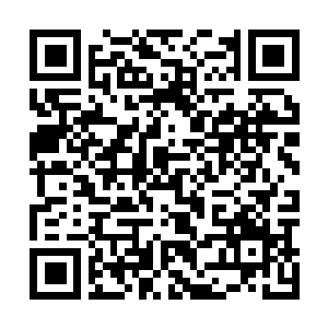 Link to your fundraiser QRCode - Fundraising