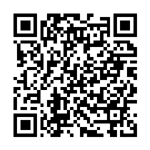 Link to your fundraiser QRCode - Fundraising