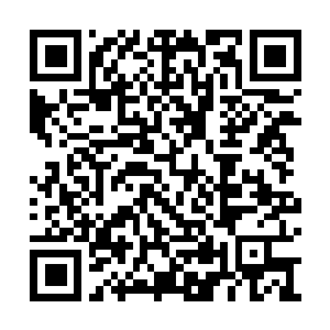 Link to your fundraiser QRCode - Fundraising