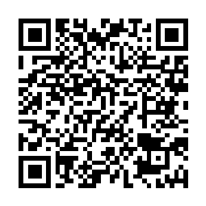 Link to your fundraiser QRCode - Fundraising