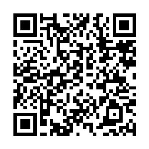 Link to your fundraiser QRCode - Fundraising