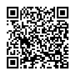 Link to your fundraiser QRCode - Fundraising