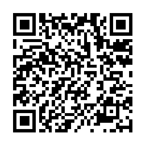 Link to your fundraiser QRCode - Fundraising