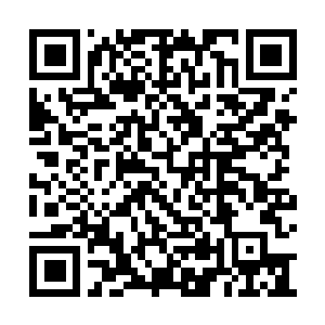 Link to your fundraiser QRCode - Fundraising