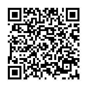Link to your fundraiser QRCode - Fundraising