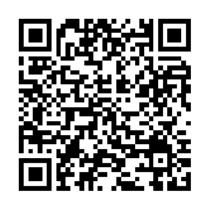 Link to your fundraiser QRCode - Fundraising