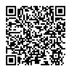 Link to your fundraiser QRCode - Fundraising