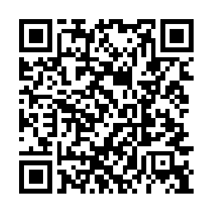 Link to your fundraiser QRCode - Fundraising