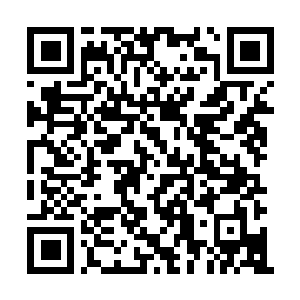 Link to your fundraiser QRCode - Fundraising