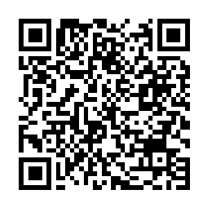 Link to your fundraiser QRCode - Fundraising