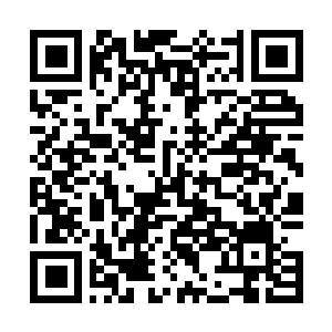 Link to your fundraiser QRCode - Fundraising