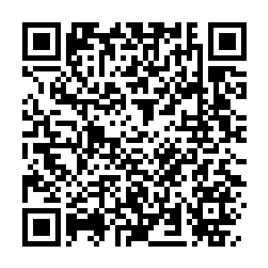 Link to your fundraiser QRCode - Fundraising