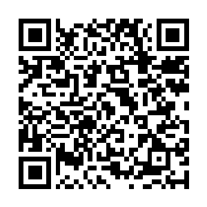 Link to your fundraiser QRCode - Fundraising