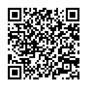Link to your fundraiser QRCode - Fundraising