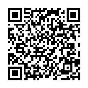 Link to your fundraiser QRCode - Fundraising