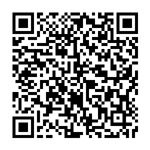 Link to your fundraiser QRCode - Fundraising