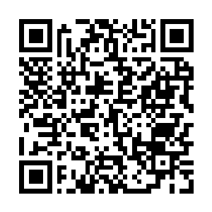 Link to your fundraiser QRCode - Fundraising