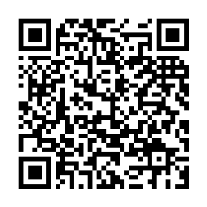 Link to your fundraiser QRCode - Fundraising