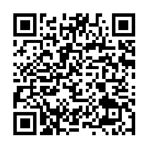 Link to your fundraiser QRCode - Fundraising
