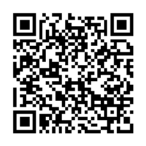 Link to your fundraiser QRCode - Fundraising