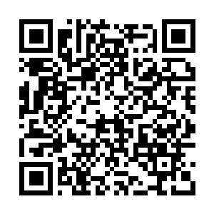 Link to your fundraiser QRCode - Fundraising