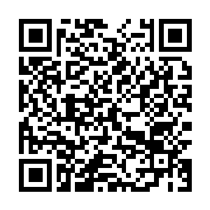 Link to your fundraiser QRCode - Fundraising