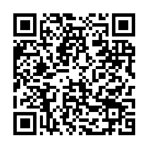 Link to your fundraiser QRCode - Fundraising