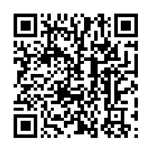 Link to your fundraiser QRCode - Fundraising