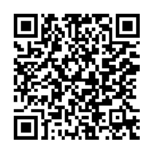 Link to your fundraiser QRCode - Fundraising