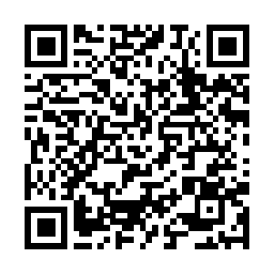 Link to your fundraiser QRCode - Fundraising