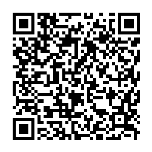 Link to your fundraiser QRCode - Fundraising
