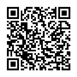 Link to your fundraiser QRCode - Fundraising