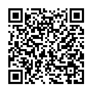 Link to your fundraiser QRCode - Fundraising