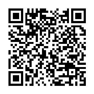 Link to your fundraiser QRCode - Fundraising