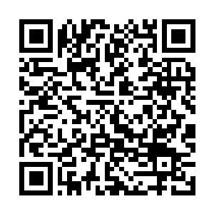 Link to your fundraiser QRCode - Fundraising