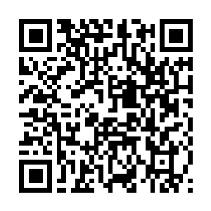 Link to your fundraiser QRCode - Fundraising