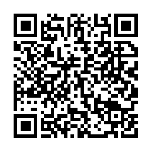 Link to your fundraiser QRCode - Fundraising