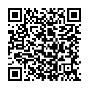 Link to your fundraiser QRCode - Fundraising