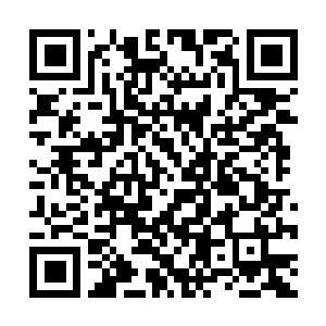 Link to your fundraiser QRCode - Fundraising