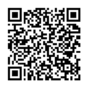 Link to your fundraiser QRCode - Fundraising