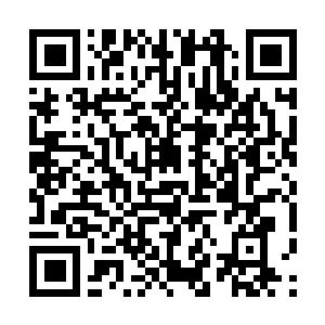 Link to your fundraiser QRCode - Fundraising