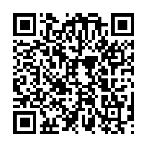 Link to your fundraiser QRCode - Fundraising