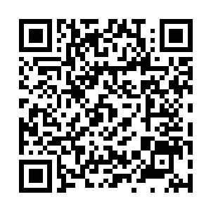 Link to your fundraiser QRCode - Fundraising