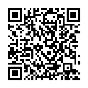 Link to your fundraiser QRCode - Fundraising