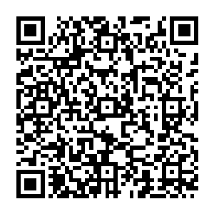 Link to your fundraiser QRCode - Fundraising