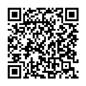 Link to your fundraiser QRCode - Fundraising