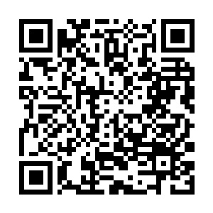 Link to your fundraiser QRCode - Fundraising