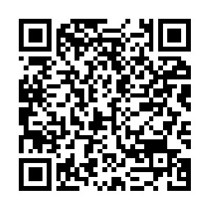 Link to your fundraiser QRCode - Fundraising